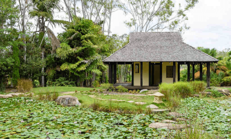 tondoon botanic gardens gladstone